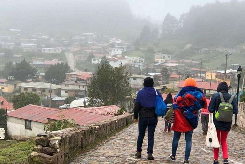 Oaxaca: Zipline, Nature Walk and Gastronomy Tour - FAQ