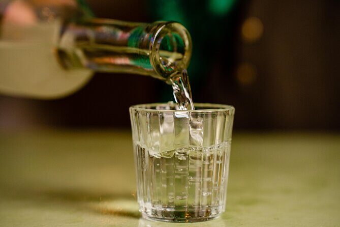 Oaxacan Artisan Mezcal Tasting in Valladolid - Final Thoughts