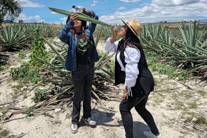 Oaxacan Mezcal Tour - Authenticity and Authentic Experiences