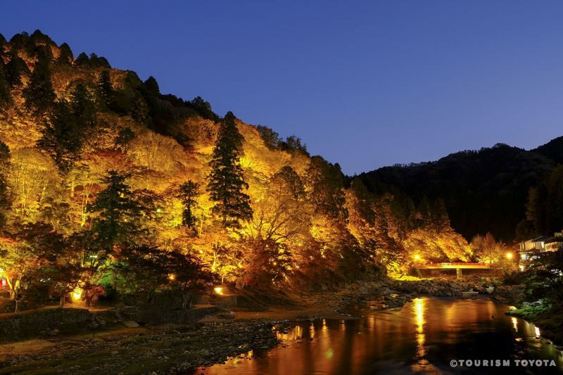 Obara Shikizakura and Korankei Light-up 1Day Bus Tour From Nagoya - What the language support is, and what it is not