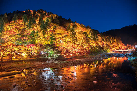 Obara Shikizakura and Korankei Light-up 1Day Bus Tour From Nagoya - Booking details to check before you go