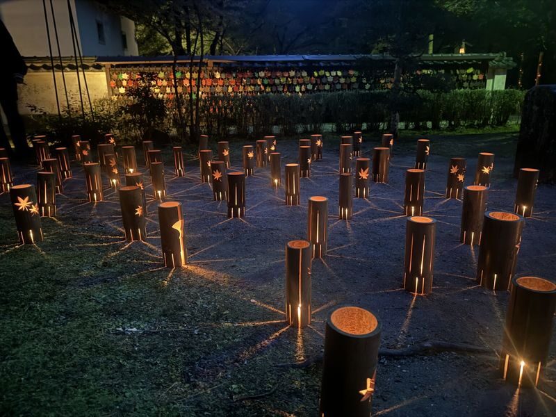 Obara Shikizakura and Korankei Light-up 1Day Bus Tour From Nagoya - Should you book the Obara and Korankei tour?