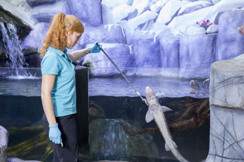 Oberhausen: LEGOLAND Discovery Centre and SEA LIFE Ticket - Final Thoughts: Is This Tour for You?