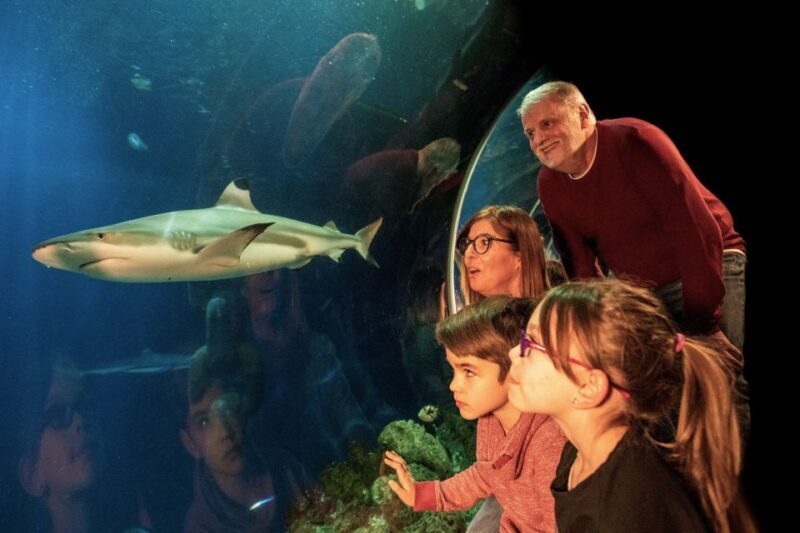 Oberhausen: LEGOLAND Discovery Centre and SEA LIFE Ticket - FAQ