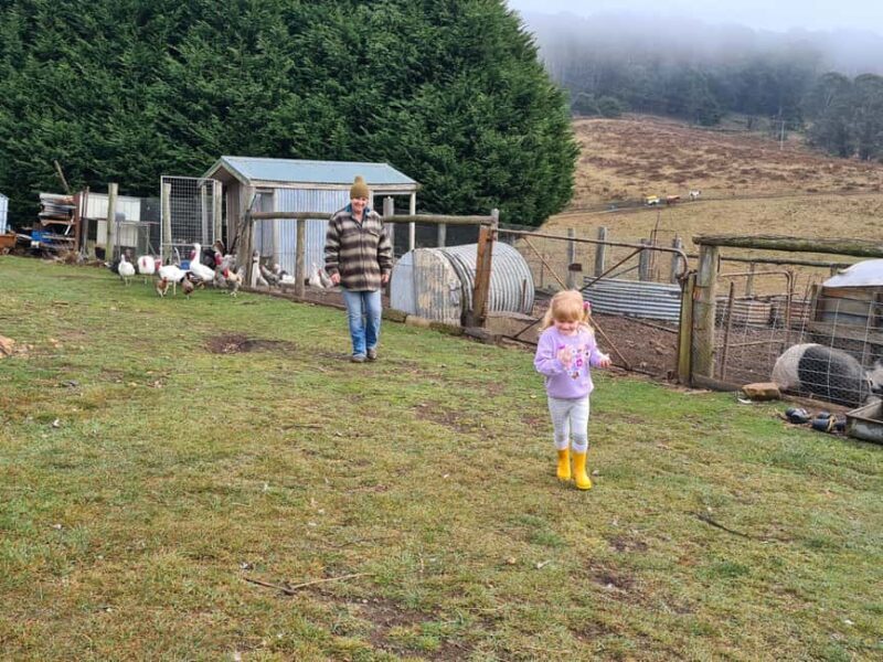 Oberon: Kenzell Farm Tour  A Hands-On Animal Adventure! - The Sum Up