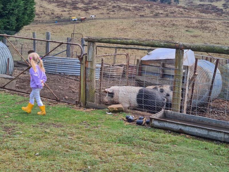 Oberon: Kenzell Farm Tour  A Hands-On Animal Adventure! - FAQ