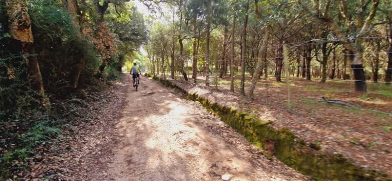 Óbidos: E-Bike Tour to Quinta do Gradil with Wine Tasting - Practical Details and Tips