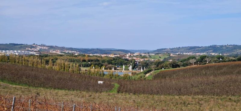 Óbidos: E-Bike Tour to Quinta do Gradil with Wine Tasting - Who Should Consider This Tour?