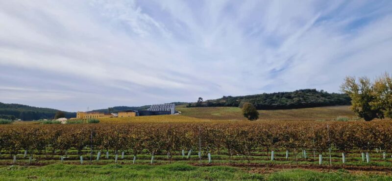 Óbidos: E-Bike Tour to Quinta do Gradil with Wine Tasting - Frequently Asked Questions
