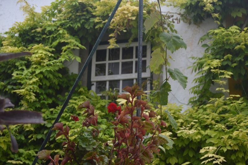 Óbidos: Medieval Tales & Secrets Spots Guided Walking Tour - FAQ