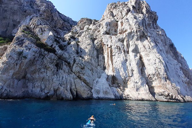 Observation of Dolphins and Snorkeling in a rubber boat in Olbia - FAQs About the Olbia Dolphin and Snorkel Tour