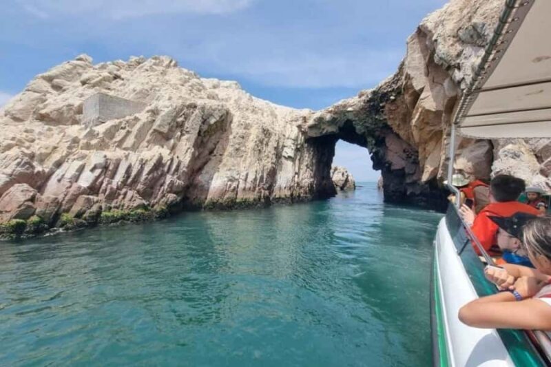 Observation of Marine Fauna in Ballestas Islands - Exploring the Ballestas Islands: What to Expect