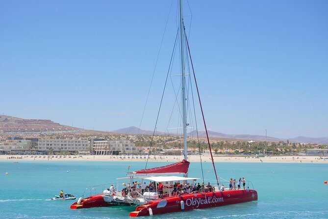 OBYCAT Experience - Practical Tips for Your Trip