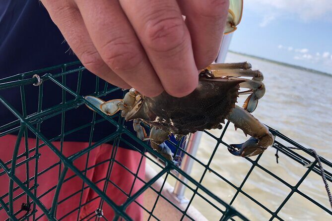 OC Bay Hopper Crabbing - Exploring the OC Bay Hopper Crabbing Experience