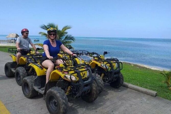 Occidental Caribe - Round Trip Shuttle - Punta Cana Airport - An In-Depth Look at the Occidental Caribe Round Trip Shuttle