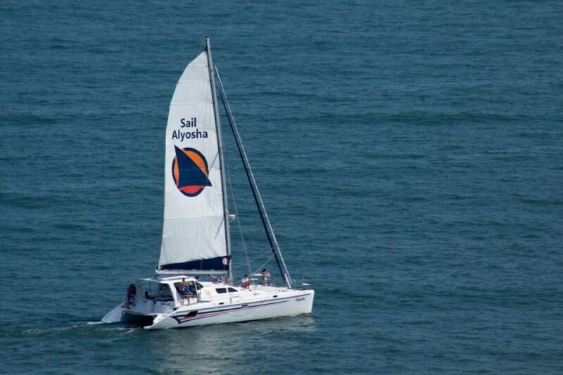 Ocean City: Sailing Catamaran Cruise with Crew - Setting the Scene: Ocean Sailing in Ocean City