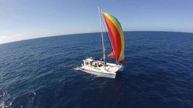 Ocean City: Sailing Catamaran Cruise with Crew - The Itinerary: What You Can Expect