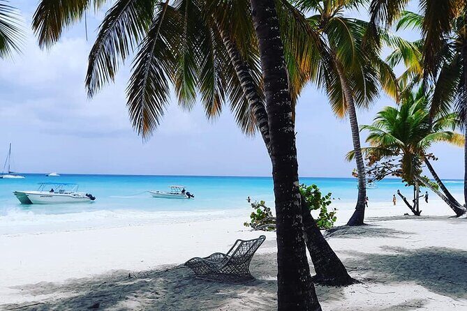 Ocean El Faro Resort - Round Trip Shuttle - Punta Cana Airport - An In-Depth Look at the Private Shuttle Service