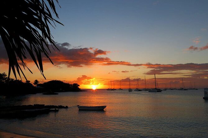 Ocean El Faro Resort - Round Trip Shuttle - Punta Cana Airport - The Sum Up: The Practical Choice for Stress-Free Travel