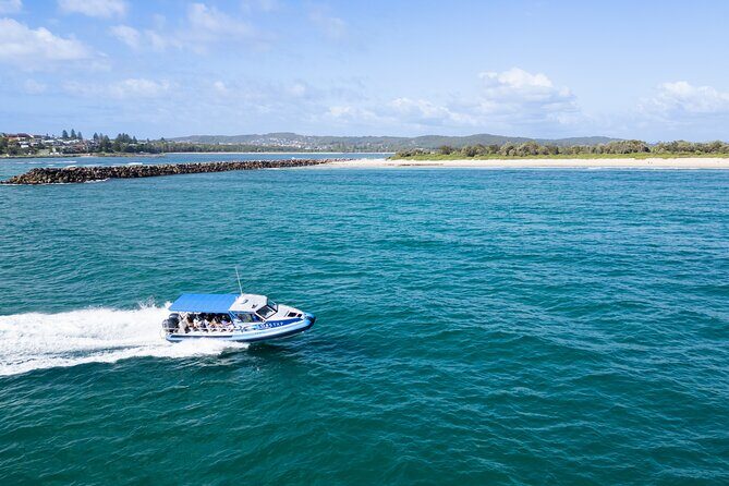 Ocean Explorer Tour from Lake Macquarie - Dive into the Ocean Explorer Tour from Lake Macquarie