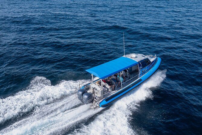 Ocean Explorer Tour from Lake Macquarie - Who Will Love This Tour?