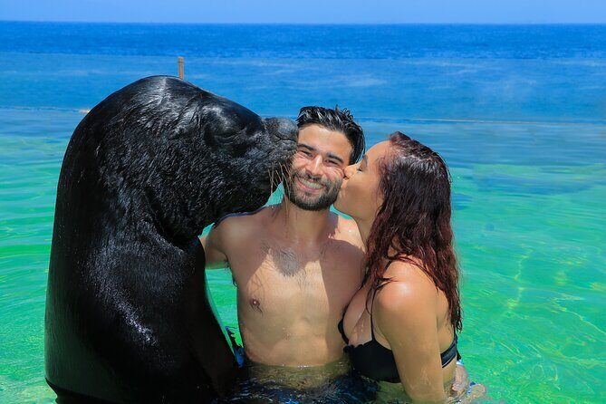 Ocean Mania & water park experience in Puerto Vallarta - Who Will Love This Tour?