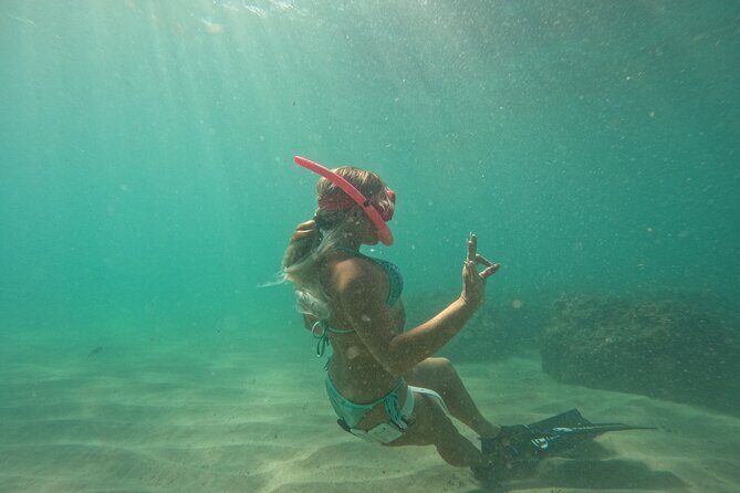 Ocean Ridge Snorkeling and Freediving Activity - Key Points