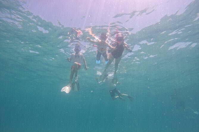 Ocean Ridge Snorkeling and Freediving Activity - Final Thoughts