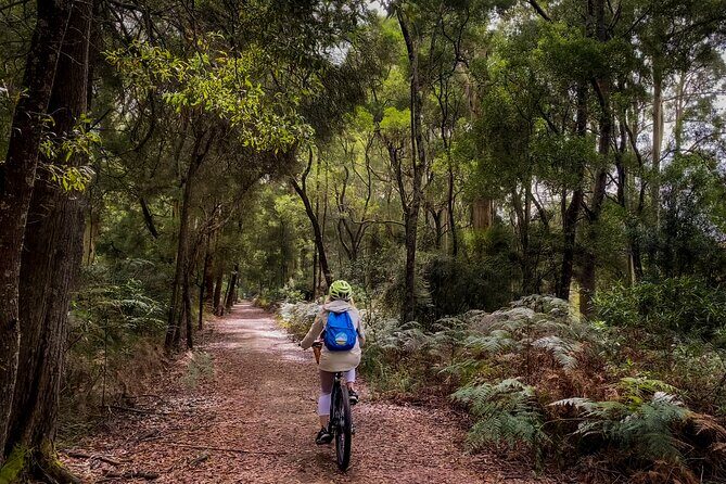 Ocean Road Scenic Bicycle Ride in Port Campbell or Timboon - Exploring the Ride: What to Expect at Every Turn