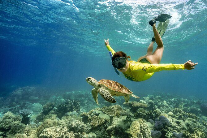 Ocean Safari Great Barrier Reef Experience in Cape Tribulation - Exploring the Tour: An Authentic Reef Adventure
