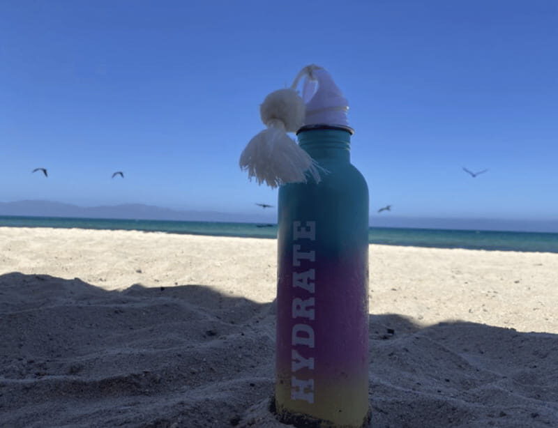 Ocean Safari in La Ventana BCS - Frequently Asked Questions