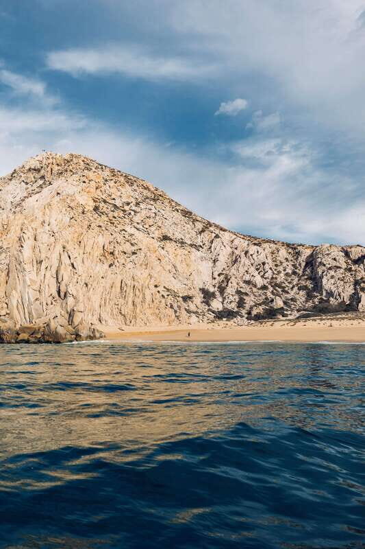 Ocean Safari in San Jose del Cabo - A Detailed Look at the Ocean Safari Experience