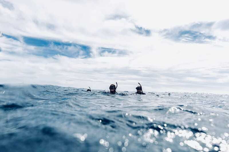 Ocean Safari in San Jose del Cabo - Practical Tips for Your Safari
