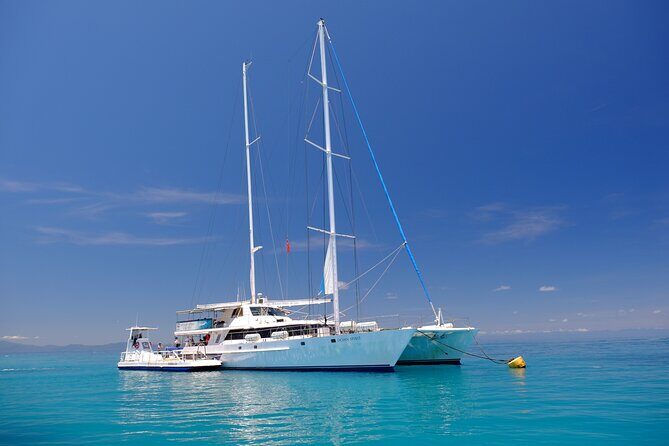Ocean Spirit Sail to Michaelmas Cay Snorkel or Dive, from Cairns - What Reviews Reveal About the Experience