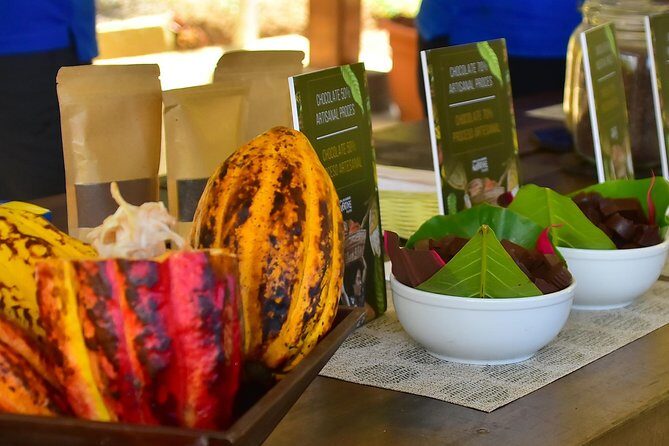 Ocean View Canopy Zip line + Chocolate Experience - Key Points