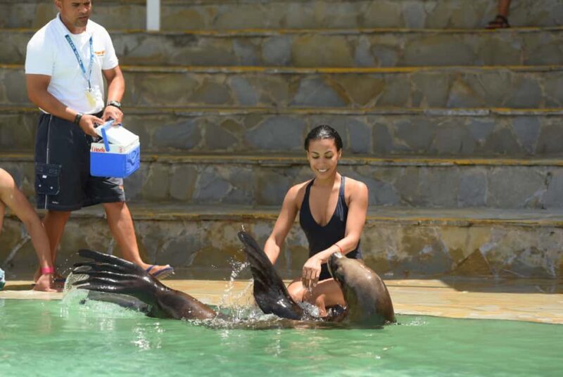 Ocean World Dolphin Swim & Sea Lion Combo from Puerto Plata - FAQ: Your Practical Questions Answered