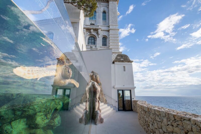 Oceanographic Museum of Monaco Ticket - Discovering the Monaco Oceanographic Museum: A Deep Dive into Marine Wonder