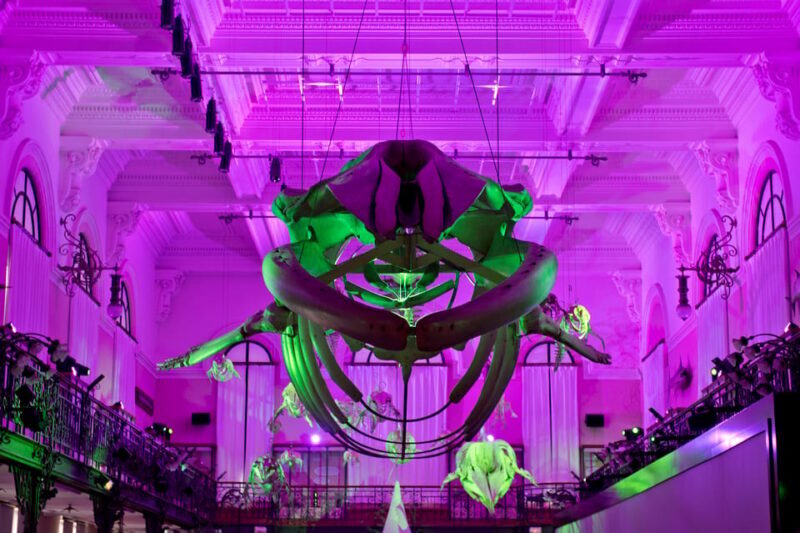 Oceanographic Museum of Monaco Ticket - FAQs
