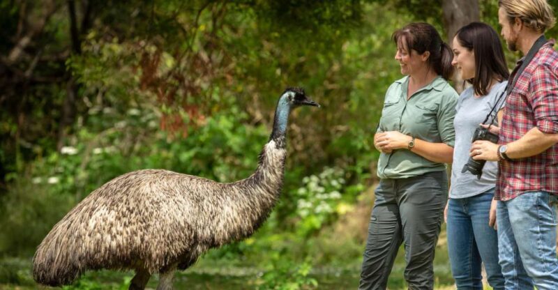 Oceans to Mountains Explorer: 3-Day Great Ocean Road Tour - Exploring the 3-Day Itinerary in Detail
