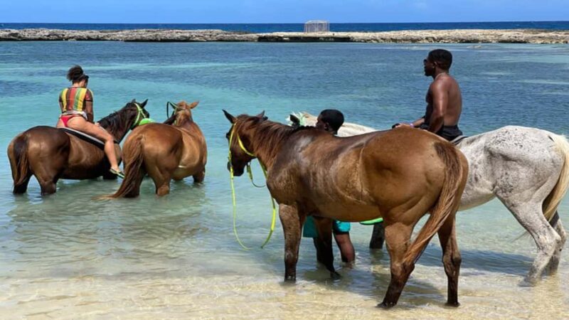 Ocho Rio: Dunns River Falls, Rafting, Horses & Ziplines Tour - Why You Should Consider This Tour