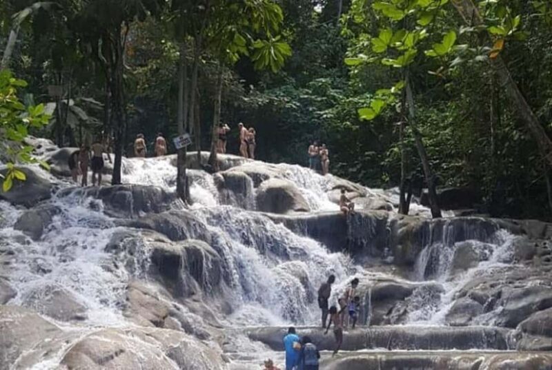 Ocho Rios: Dunn's River Falls and Blue Hole Private Tour - Who Will Love This Tour?