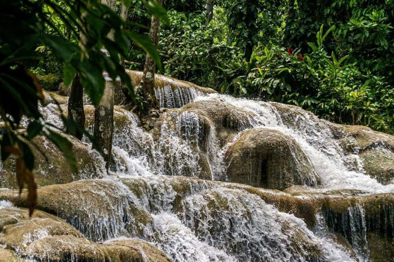 Ocho Rios: Dunn's River Falls Climb and Zipline Adventures - Discovering the Best of Dunn’s River Falls and the Zipline Adventure