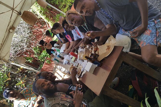 Ocho Rios For A Day / Private Customizable Tours / Jamaica Dream Vacation - Key Points