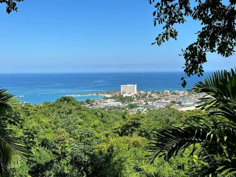 Ocho Rios: Konoko Falls, Fern Gully, and Shopping Tour - Who Will Love This Tour?