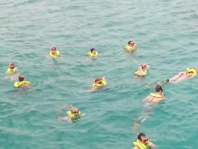 Ocho Rios: Private Double Reef Snorkeling Tour Exclusive - The Sum Up: The Best of Jamaica’s Reefs in a Personal Setting