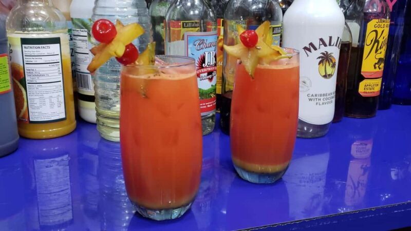 Ocho Rios: River Tubing and Lunch at 'The Aquaville Rush' - Key Points