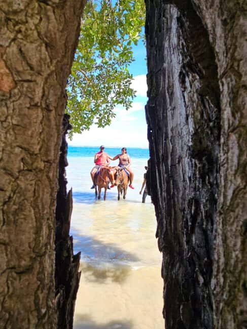 Ocho Rios: Scenic Horseback Riding Adventure - Key Points