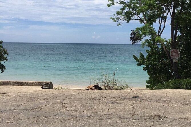 Ocho Rios Shore Excursion Bamboo Blu Beach and Shopping Tour - FAQ