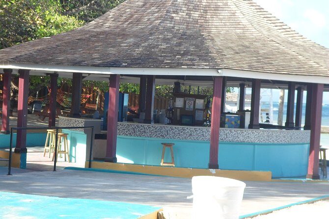 Ocho Rios Shore Excursion: Private Snorkel Tour - Key Points