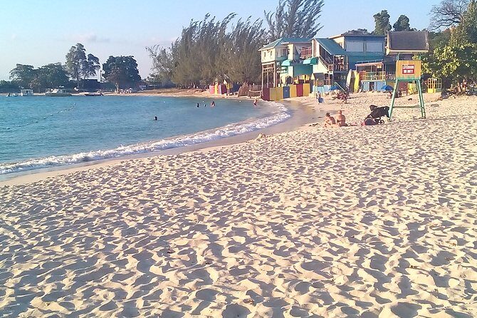 Ocho Rios Shore Excursion: Private Snorkel Tour - The Itinerary in Detail